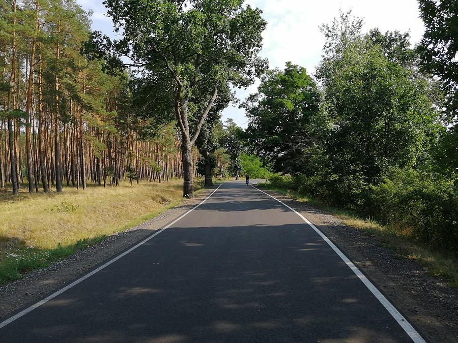 Opustoszała droga wojewódzka nr 325, ze świetnym asfaltem.