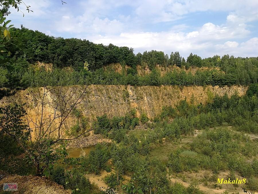 Dolomity zarastają, ale ścieżek jakby więcej.