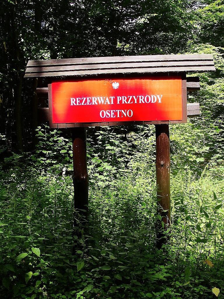 Rezerwat Przyrody "Osetno"