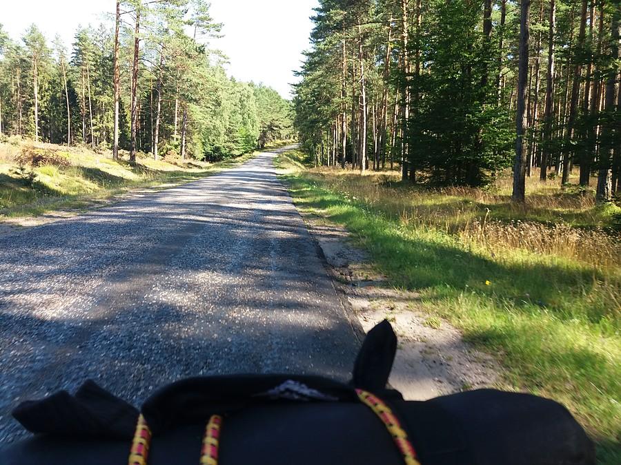 Dobrze, że w cieniu.