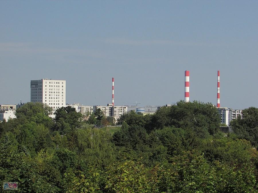 Widok z tarasu Królikarni