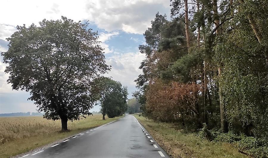 Chwilowe przejaśnienie na drodze między Dopiewem a Trzcielinem