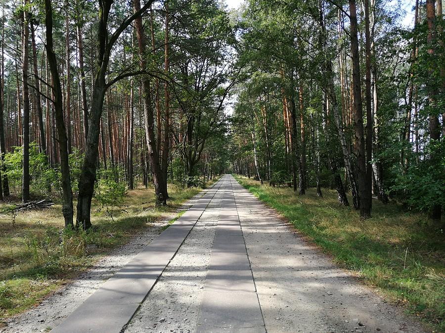 Wyjeżdżając z Milicza, trafiam na boczną drogę prowadzącą przez las, której nawierzchnia składa się z małych płyt. Są one tak dopasowane, że nawet na szosie jedzie się tutaj płynnie i szybko.