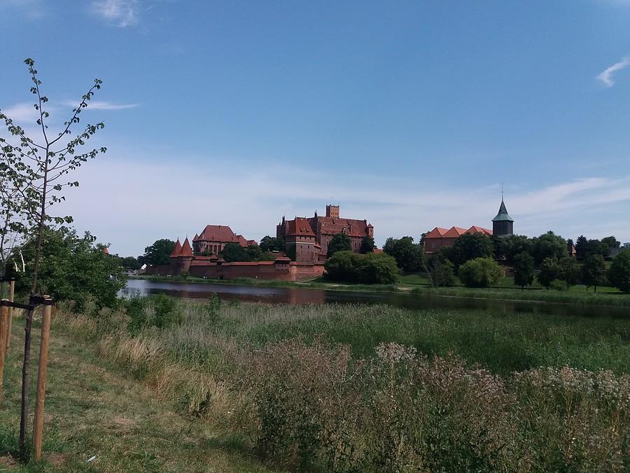 Zamek w Malborku.