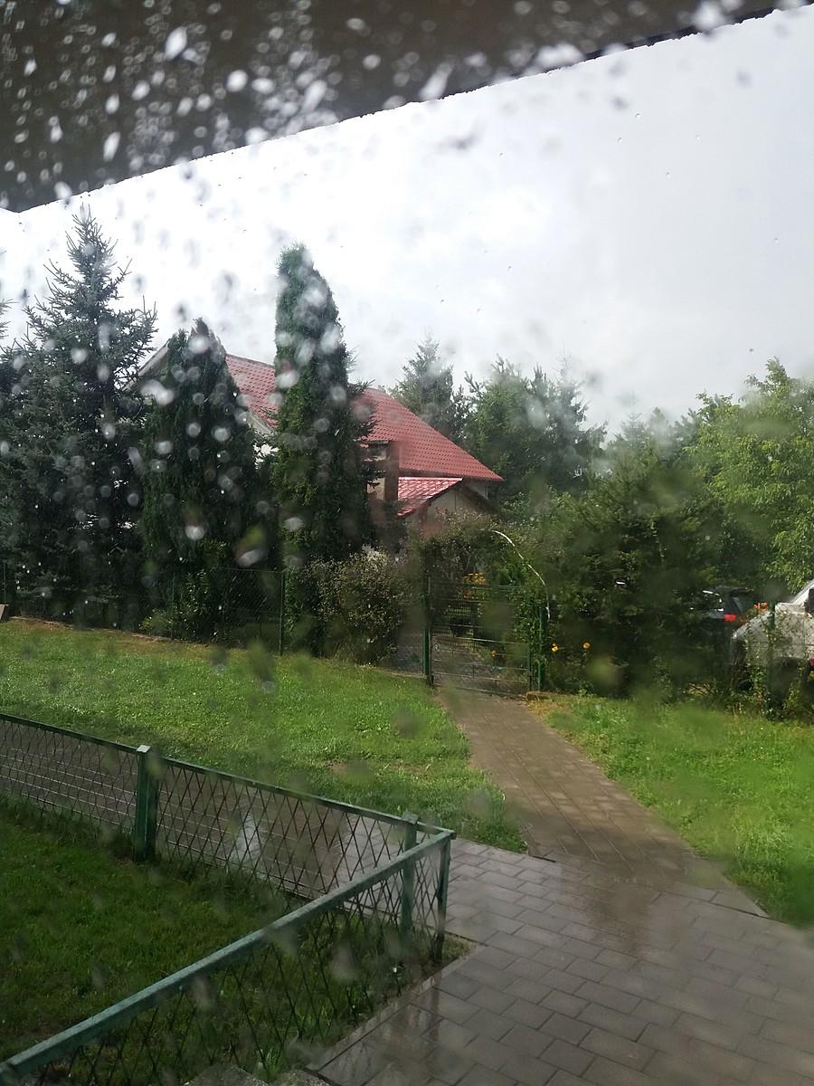 Zawierucha.