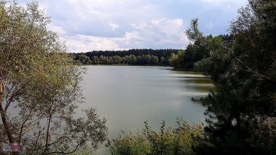 Leśne jeziorko, bez plaży, bez ludzi!