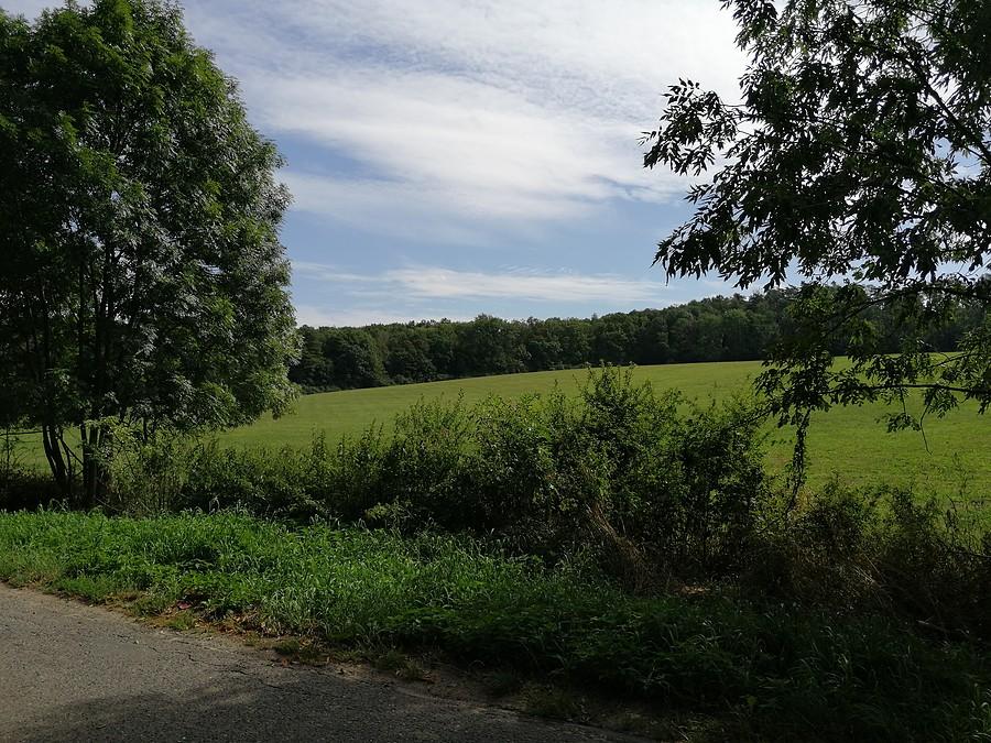 Widok na łąkę w urokliwej wiosce nad jeziorem, nieopodal Dolska... Ostrowieczno.