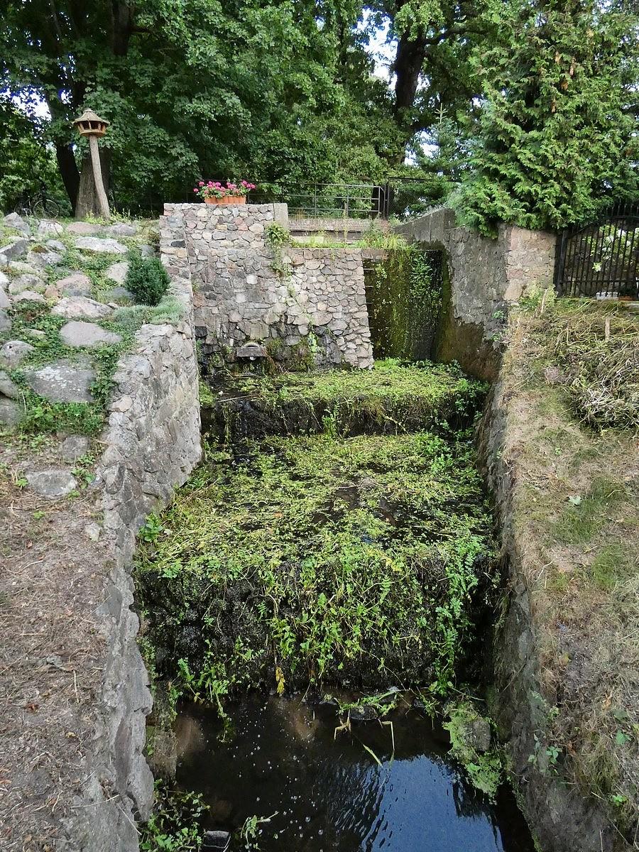 Racza Struga na ranchu Drzecin