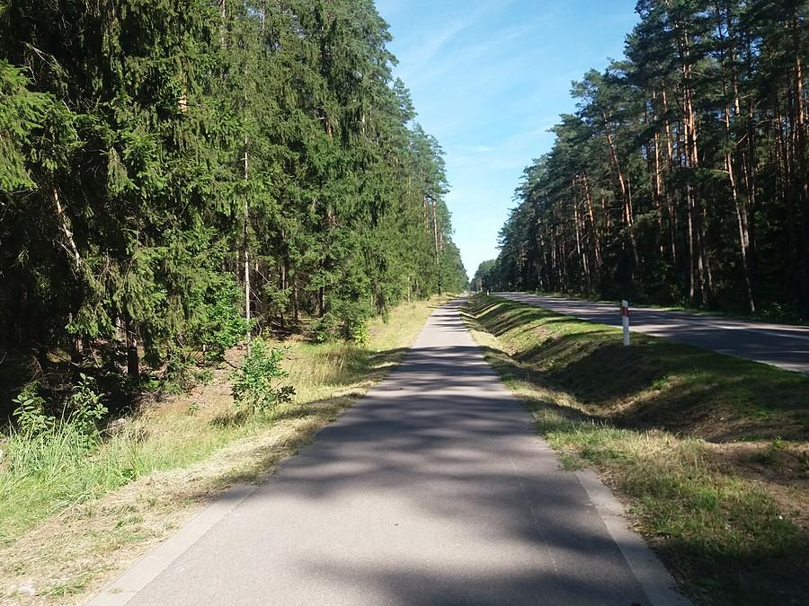Wreszcie bez samochodów.