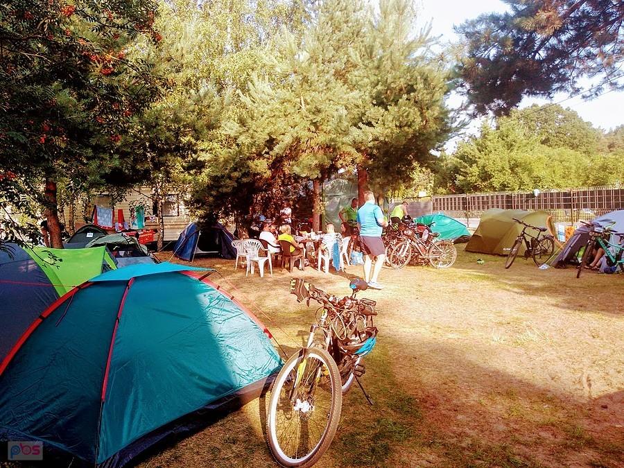 Camping Młody Delfin- Jantar