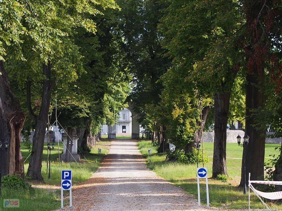 Pałac Łosiów w Narolu
