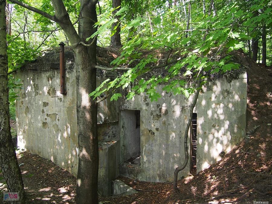 Widok od strony wejścia