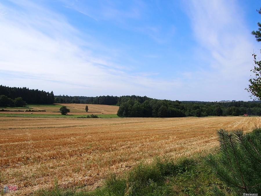 Roztoczańskie widoczki