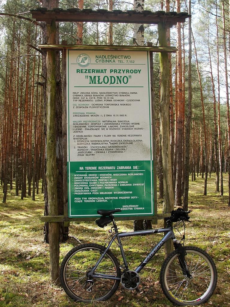 Rezerwat Przyrody "Młodno"
