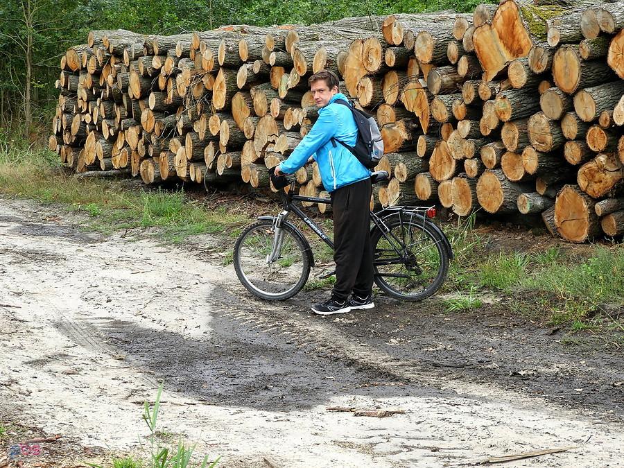 Kuba w lesie na drodze do Bartoszewa.
