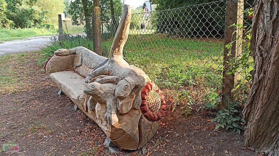 Ławka w Borowym Młynie. Pszczewski Park Krajobrazowy