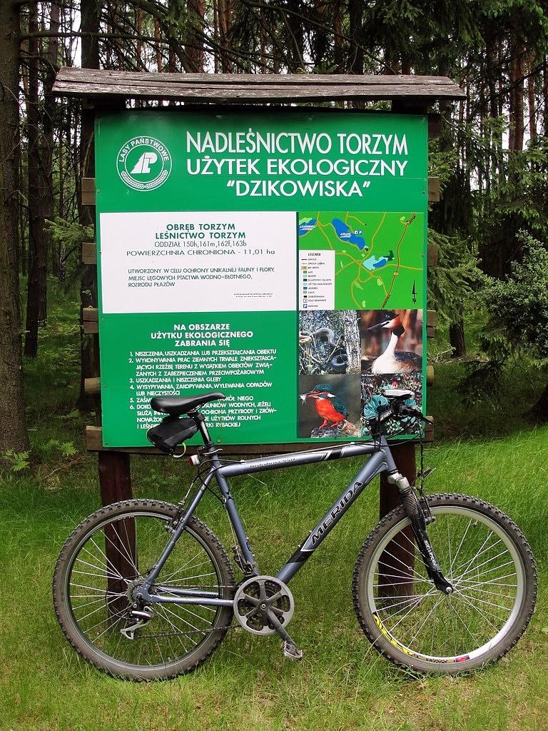 Użytek ekologiczny "Dzikowiska"