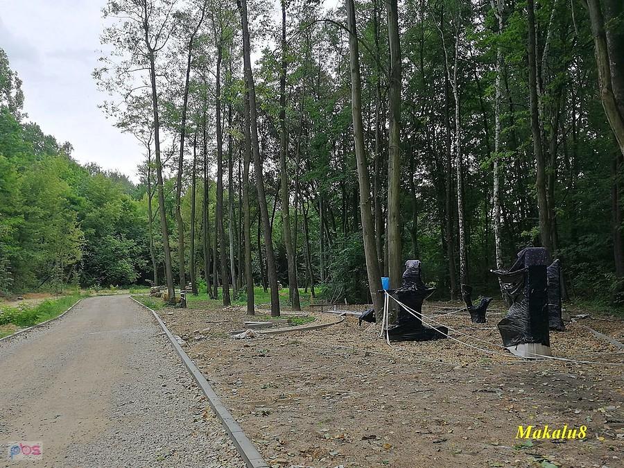 Park Rozkówka