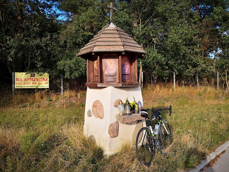 Matki Boskie Wszelakie z Dębogóry - obecne