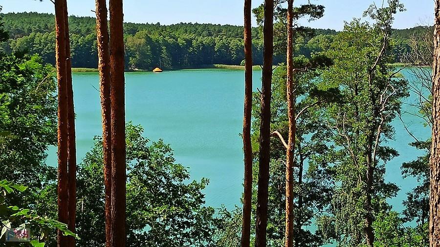 Jezioro Wędromierz. Jedno z ponad 50 na terenie Pszczewskiego Parku Krajobrazowego