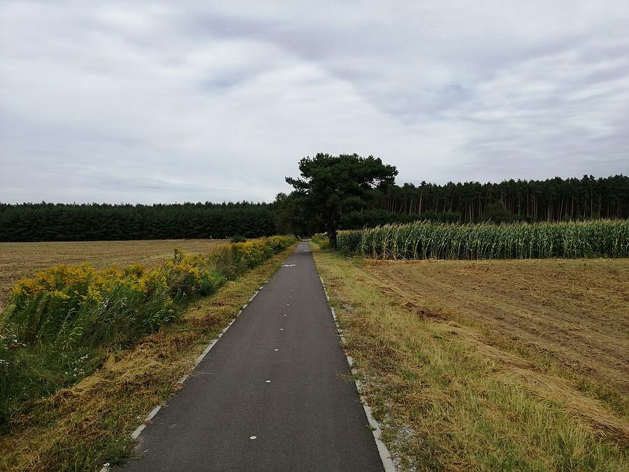Ścieżka rowerowa na trasie Prusice - Żmigródek.