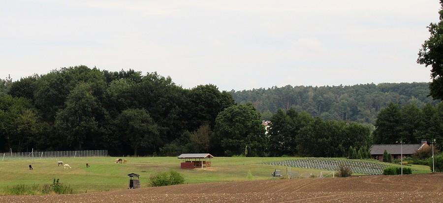 Widok na Jaśkową Doliną, Mielno
