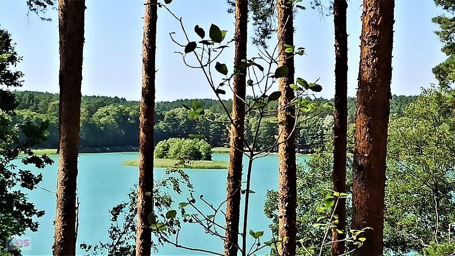 Wyspa na jeziorze Chłop