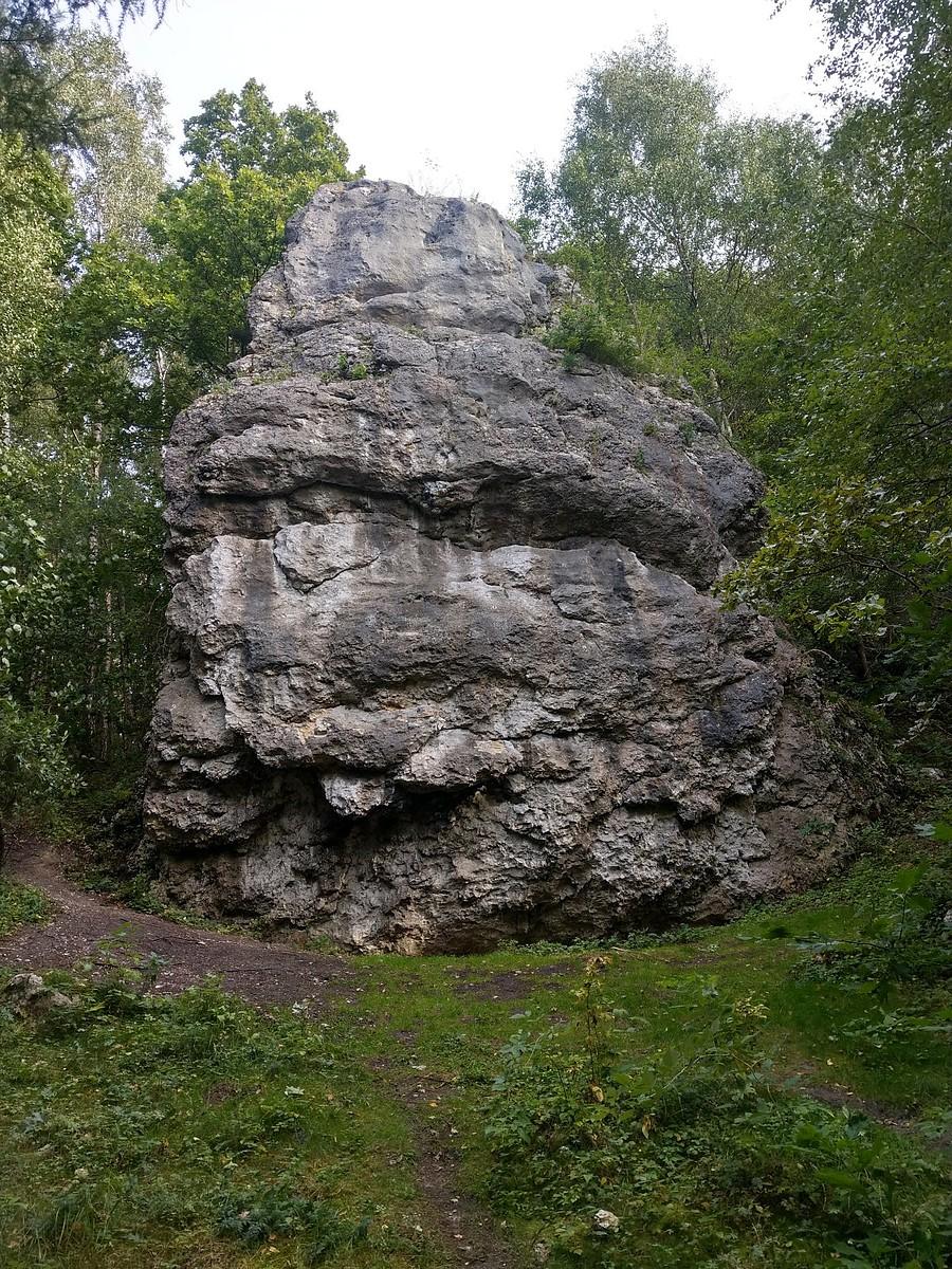 Ostaniec przy Brzozie