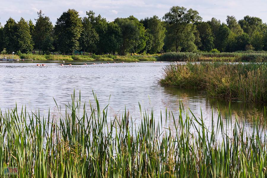 Widok z brzegu po północnej stronie