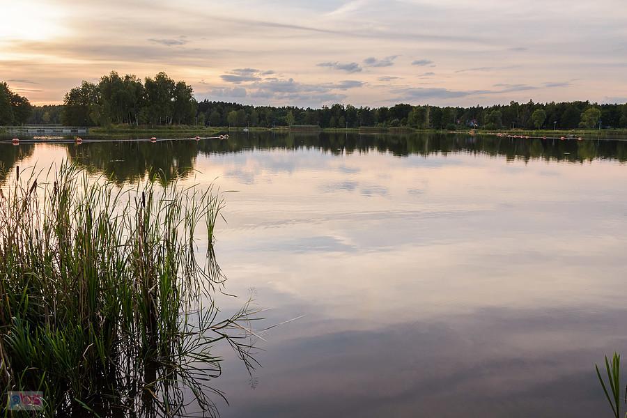 Brzeg po południowej stronie zbiornika