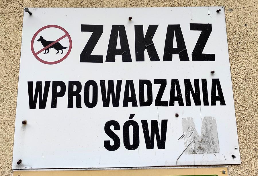 To się nazywa dyskryminacja sów