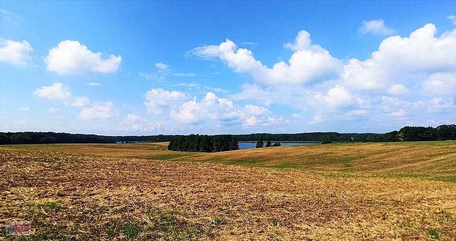 Po drodze do Międzychodu mijamy Jezioro Wielkie