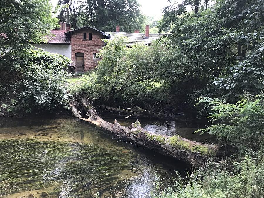 Jaźwiny - Korytnica