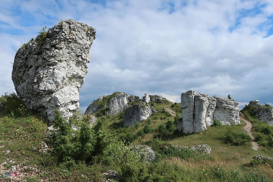 Olsztyńskie Lipówki