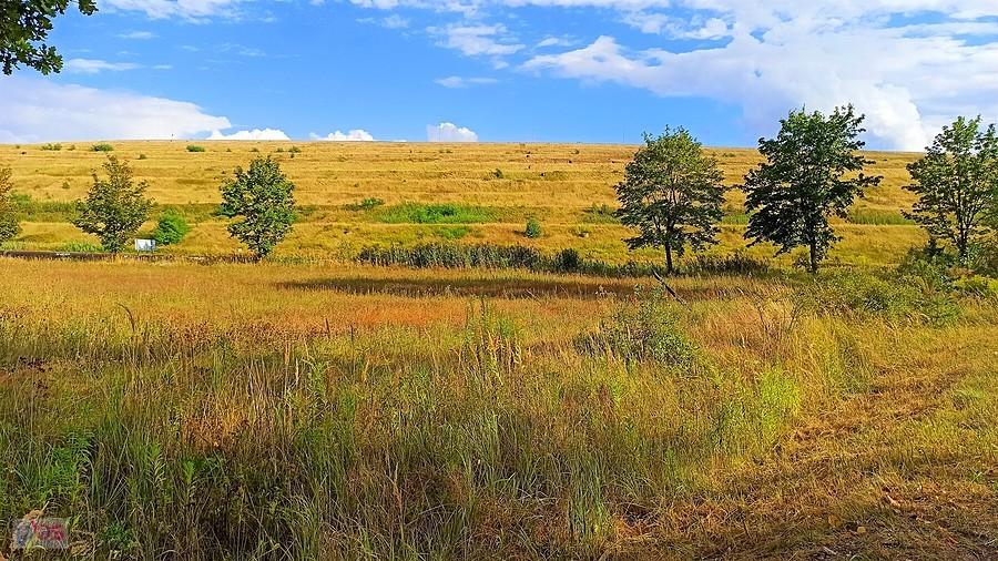 Widok na koronę zbiornika odpadów poflotacyjnych Żelazny Most w okolicy Tarnówka