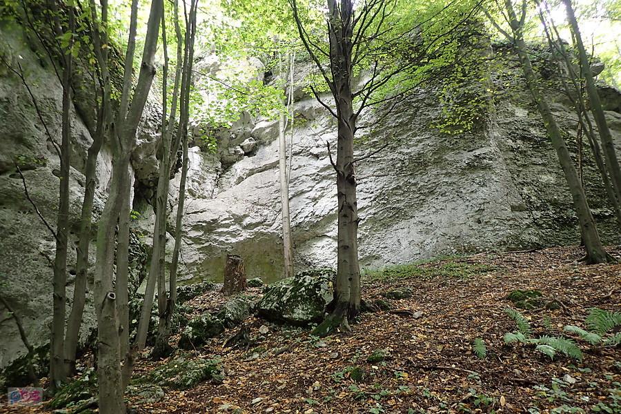 Biedruniowa