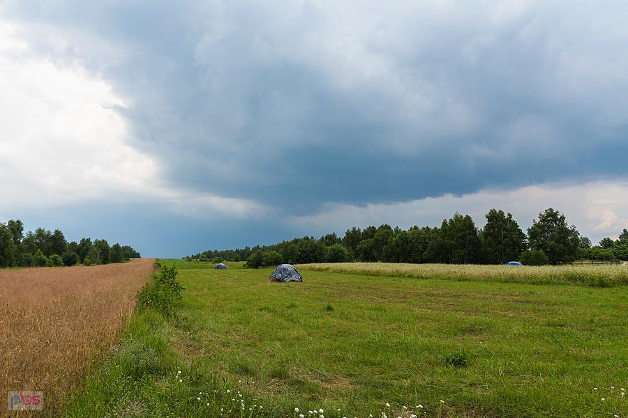 Wiejski akcent w mieście - Częstochowa, dzielnica Stradom, pole obok ulicy Wilgowej. W tle słychać było grzmoty.