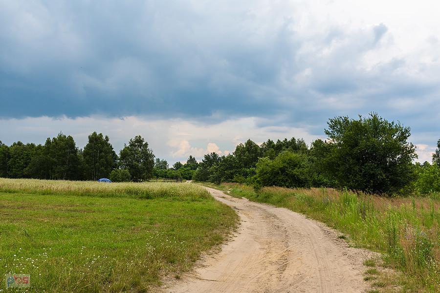 Ulica Wilgowa w częstochowskiej dzielnicy Stradom