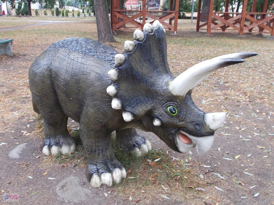 Triceratops w Szprotawie
