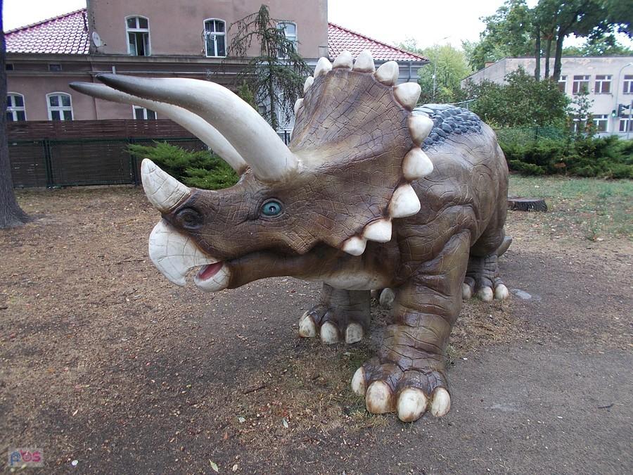 Triceratops