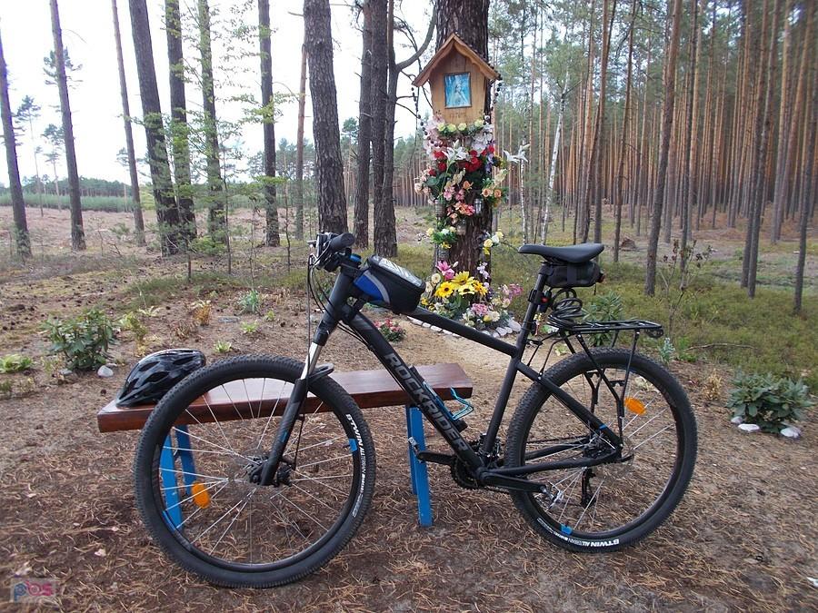Leśna kapliczka w Przemkowskim Parku Krajobrazowym