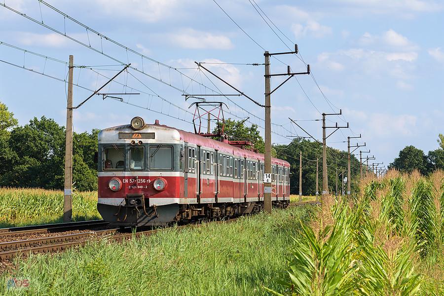 Szlak: Brzezinka Średzka - Wrocław Pracze, D29-273. EN57-1256 jako poc. R 76408 relacji: Zielona Góra Główna - Wrocław Główny jedzie w pobliżu osiedla Marszowice.