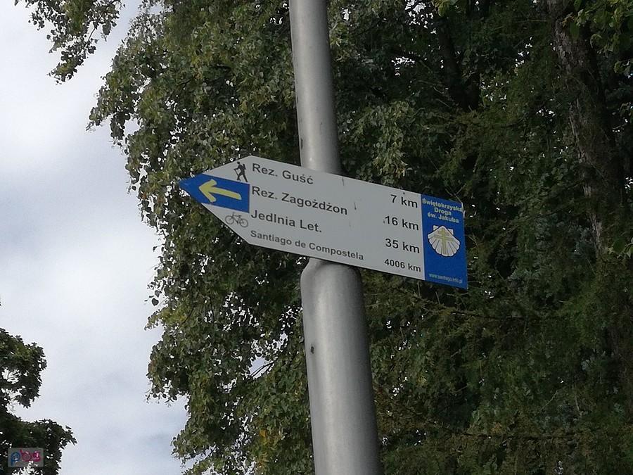 A może by tak ruszyć do Camino?
