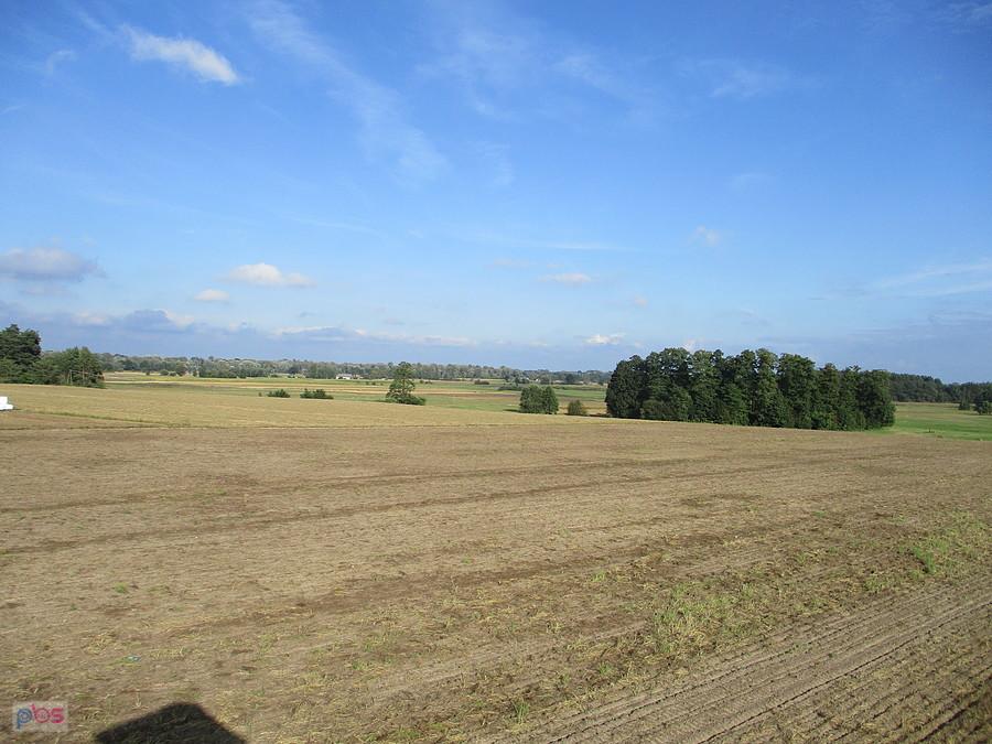 Widok z wieży