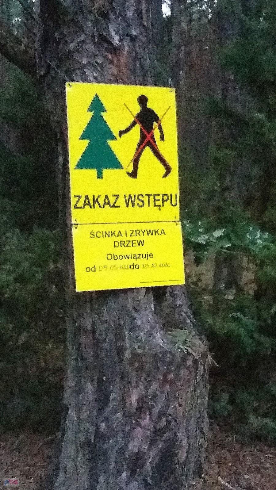 Ścinka od jutra