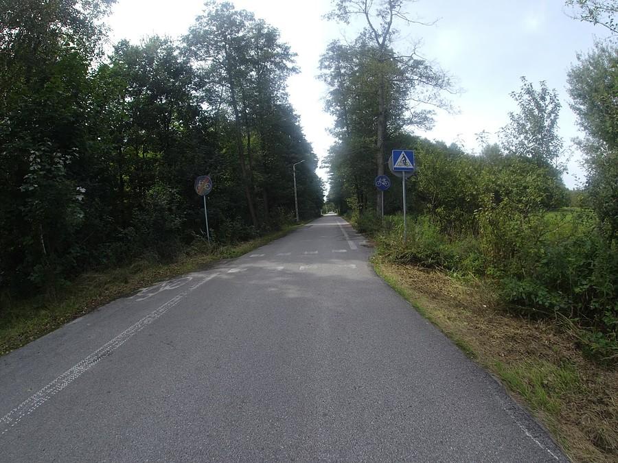 Wschodni odcinek Kampinosu, sławna droga do Truskawki
