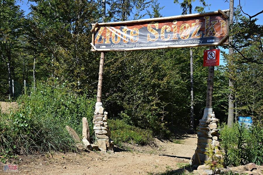 Singletrack Złote ścieżki na Górze Chrobrego