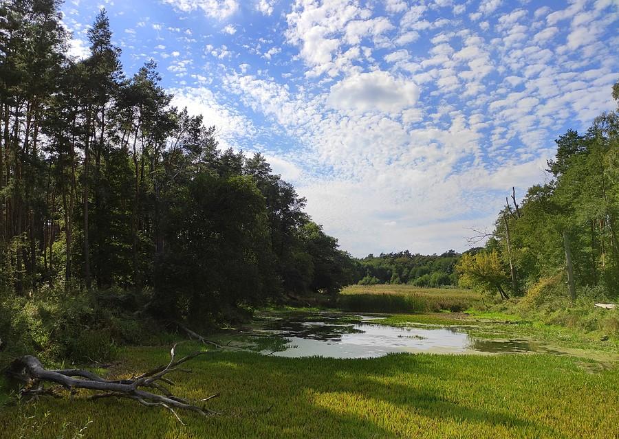 Wrześniowy motyw z Nadwarciańskiego Szlaku Rowerowego