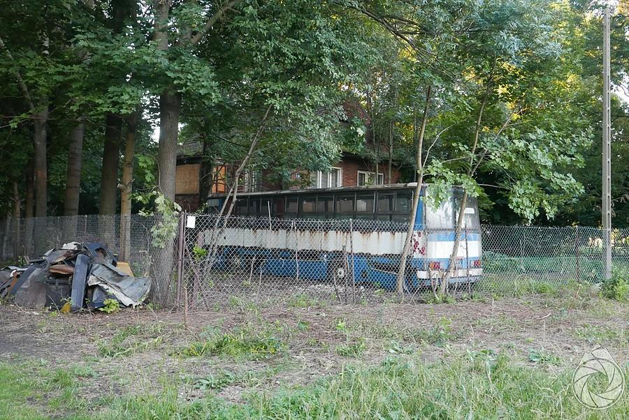 a ty co masz na podwórku?