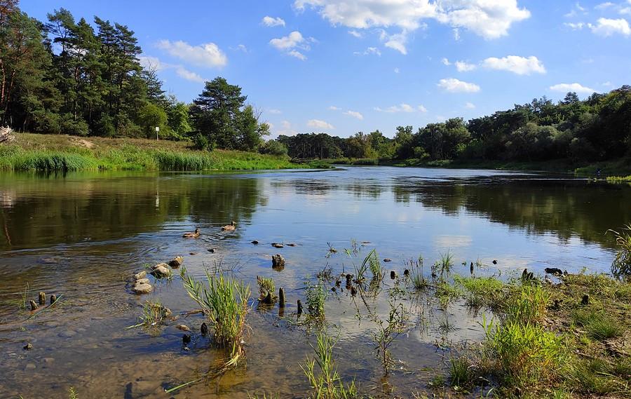 Warta w Puszczykowie, Wielkopolski Park Narodowy